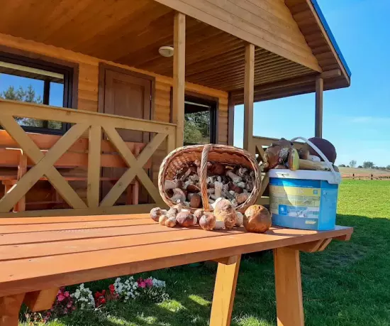 Drewniane domki w Łupawie