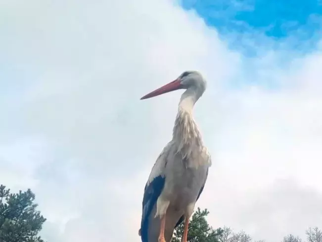 Otoczenie